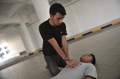 CPR_8_1