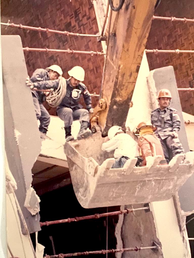 DART rescuers had to be lifted on the excavator to access the higher floors to search for survivors and casualties.